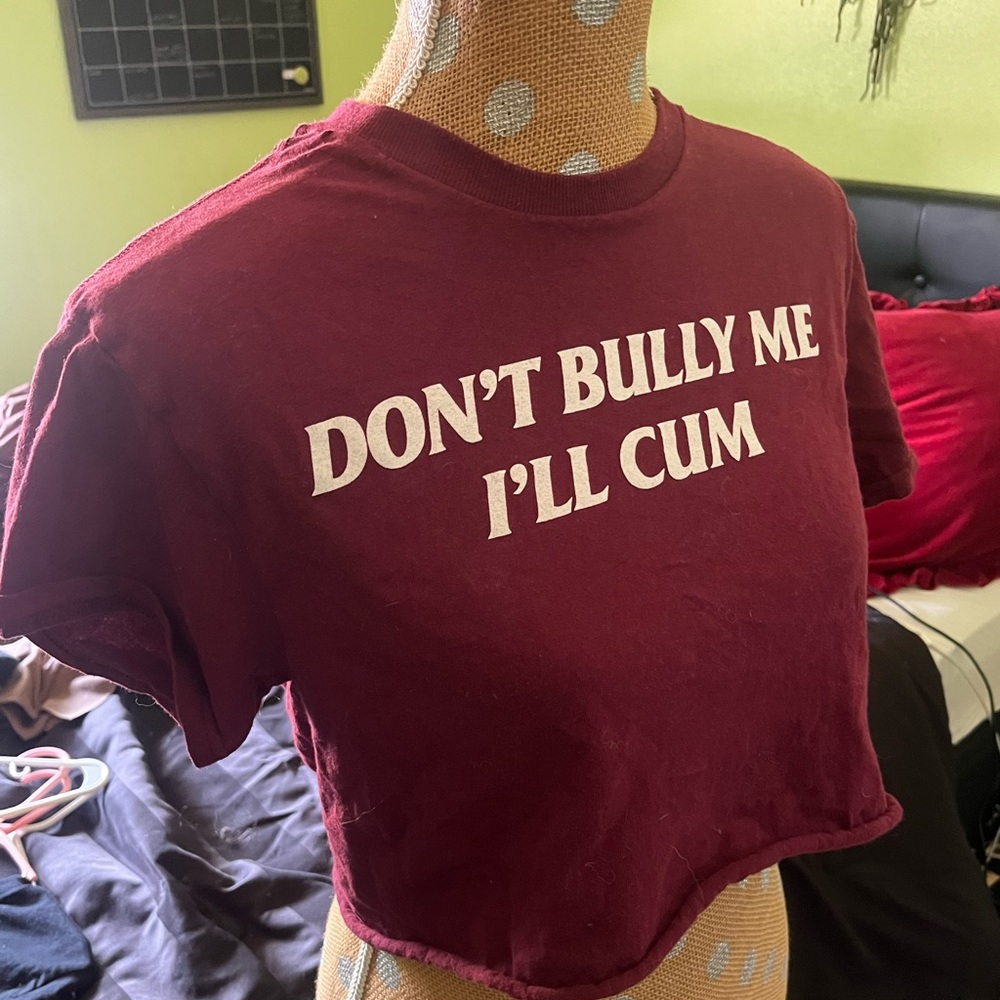 Classic Danny Duncan “Don’t Bully Me I’ll *** “ Made into a Crop top size small